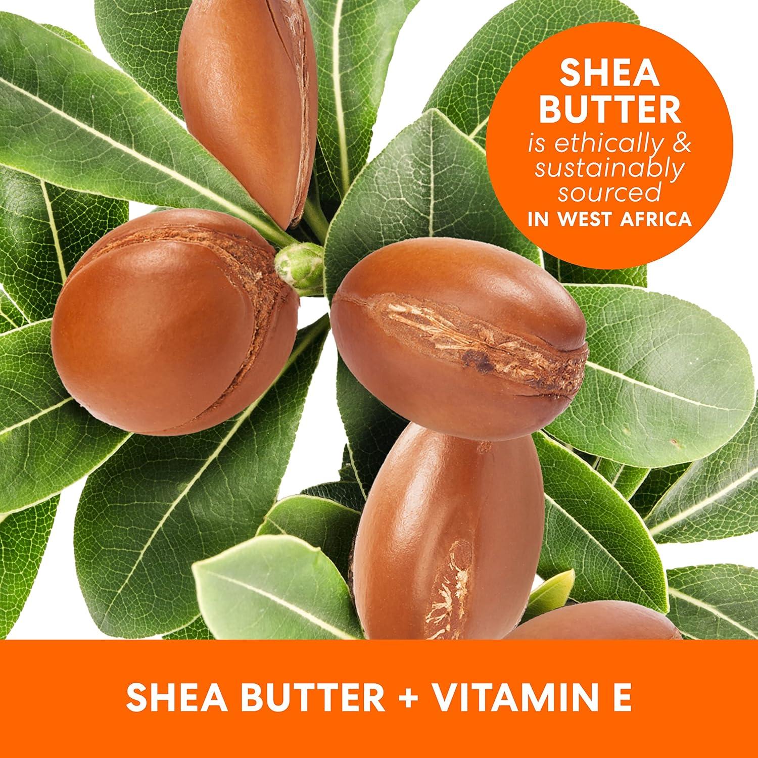 imagePalmers Shea Formula Raw Shea Body Oil with Vitamin E Deep Body Moisturizer to Soothe amp Nourish Dry Sensitive amp EczemaProne Skin 85 oz85 Fl Oz Pack of 1