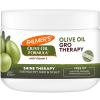 8.8 Ounce (Pack of 2)