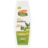 13.5 Fl Oz (Pack of 1)